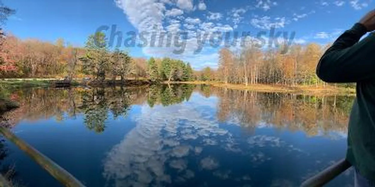 Allegany State Park